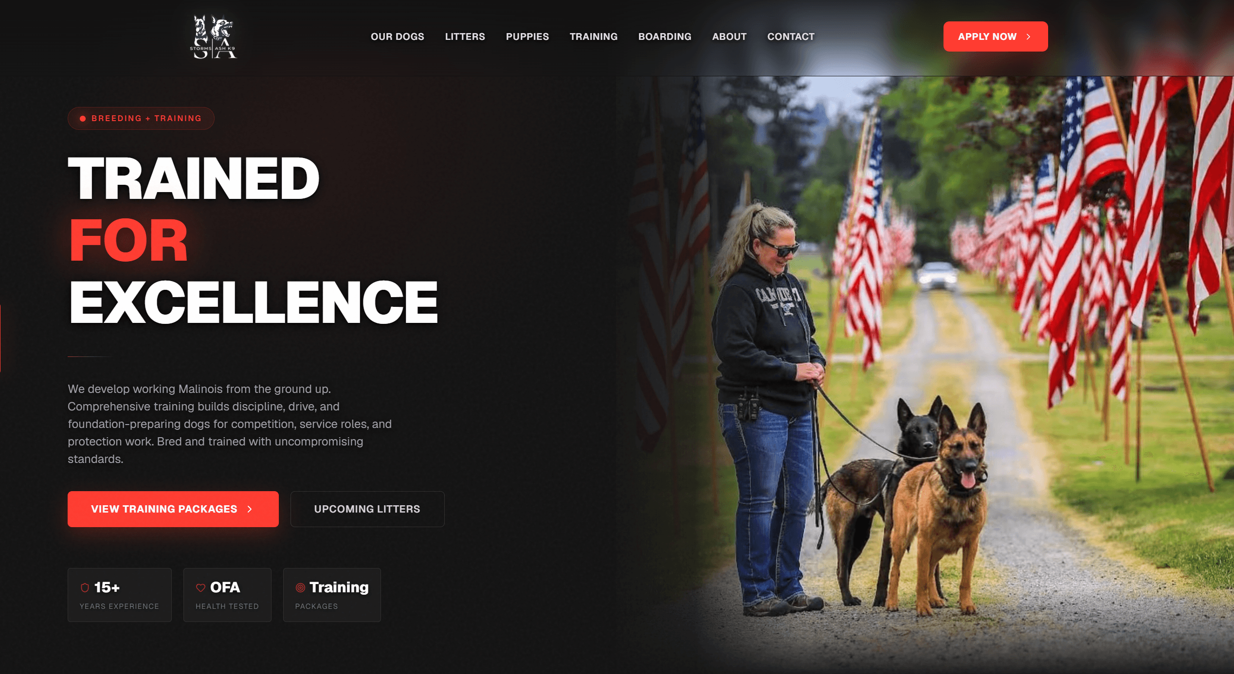Site preview